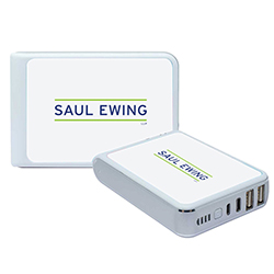 MULTI-PORT POWER BANK