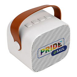 Pride@Saul Terratone Wireless Speaker