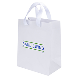 7.75" X 9.75" - Euro Tote